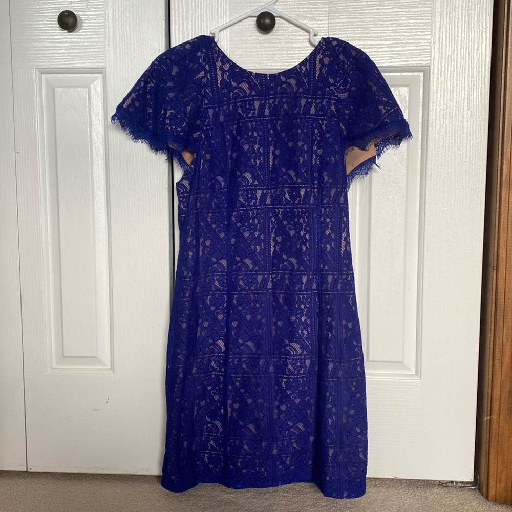 Endless Rose Blue Lace Dress with Nude Lining